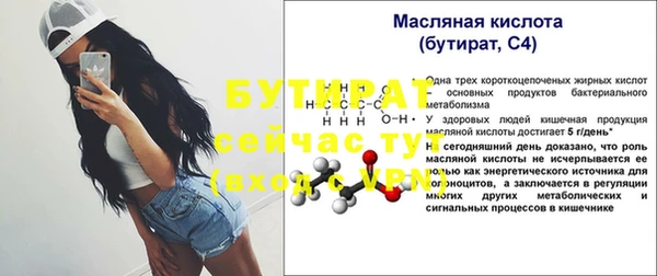spice Инта