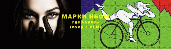 амф Каменногорск