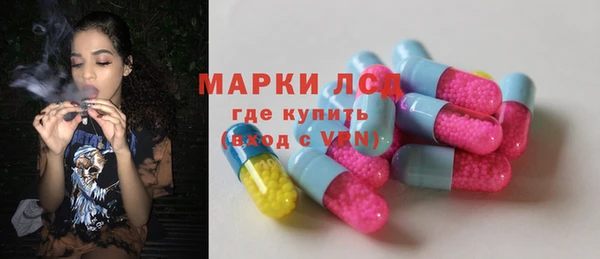 стафф Каменск-Шахтинский