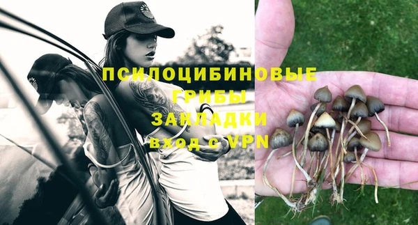 амф Каменногорск